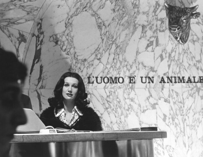 proprietà privata furto