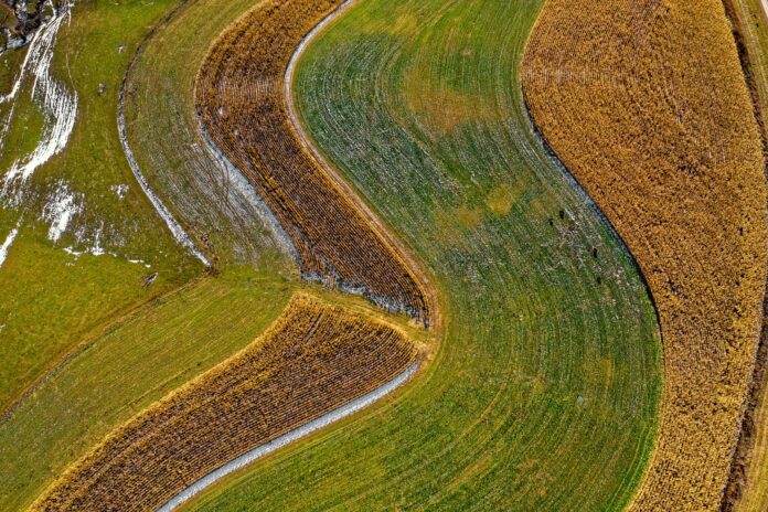 consumo suolo ambiente agricoltura
