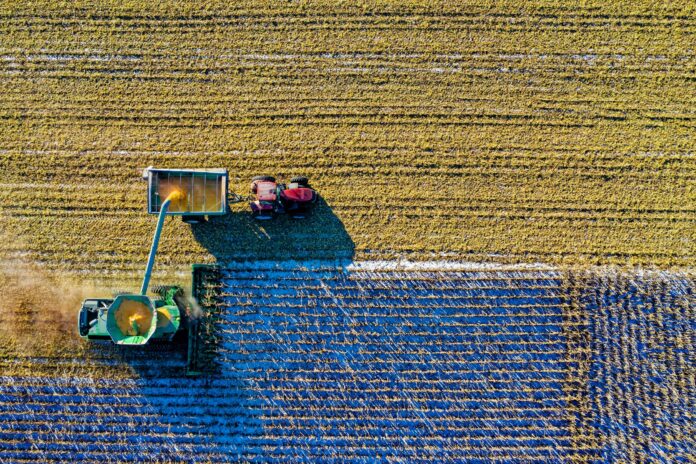 agricoltura