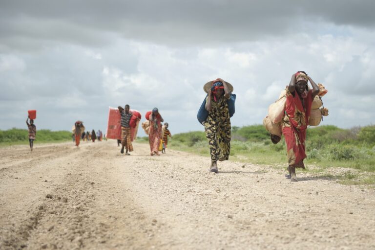33mila migranti arrivati in Italia nel 2022. Per l’Oim “non è emergenza”