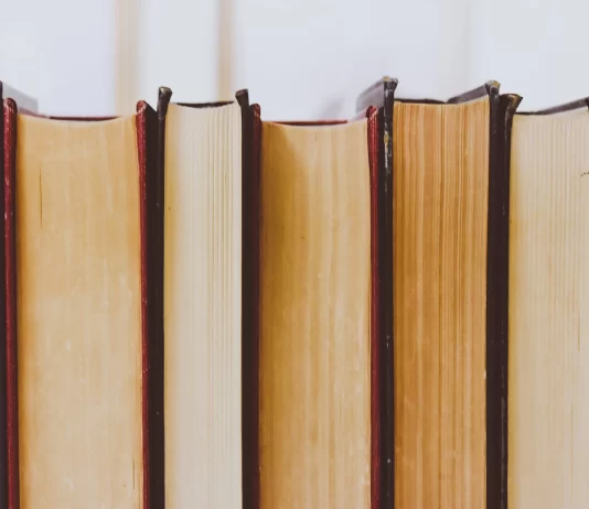 IA e dintorni, il Governo lavora a una nuova legge sul libro