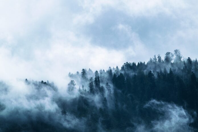 natura ambiente