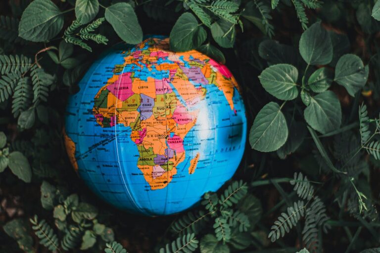 Gli Emirati Arabi Uniti lanciano “AI for Development” (in Africa)