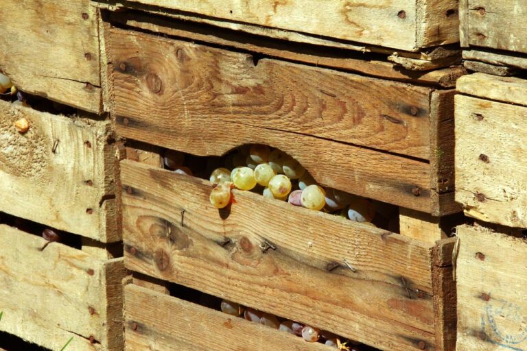 Resocónto – Il Paese reale